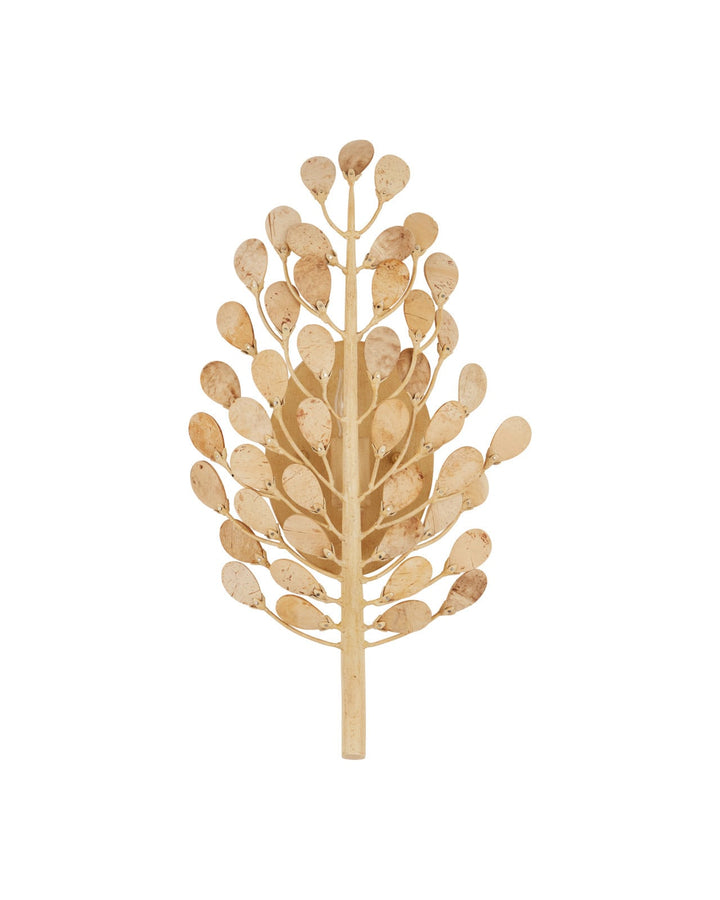 Wall Lighting Maypan Wall Sconce
