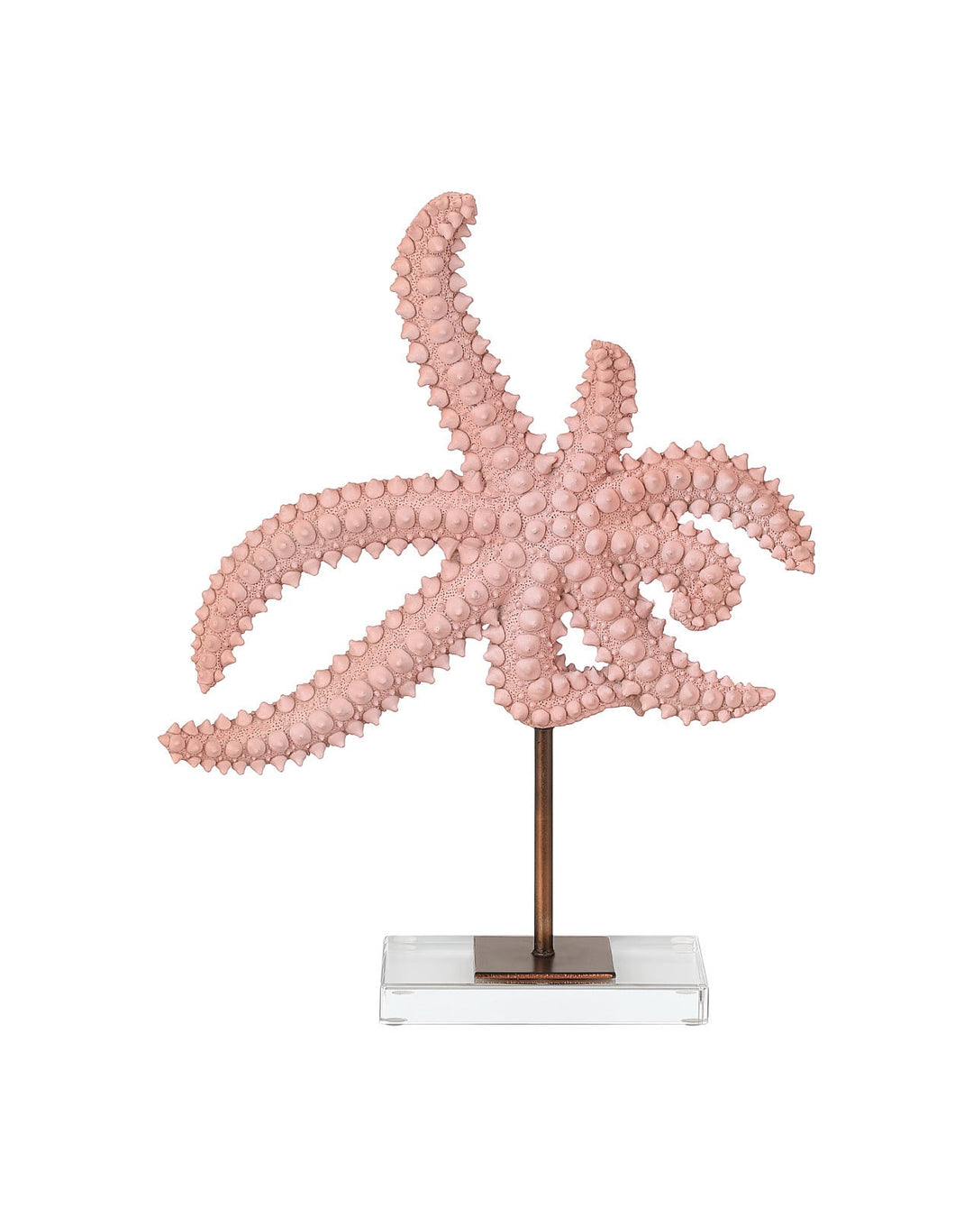 Decorative Objects Starfish Set of 2