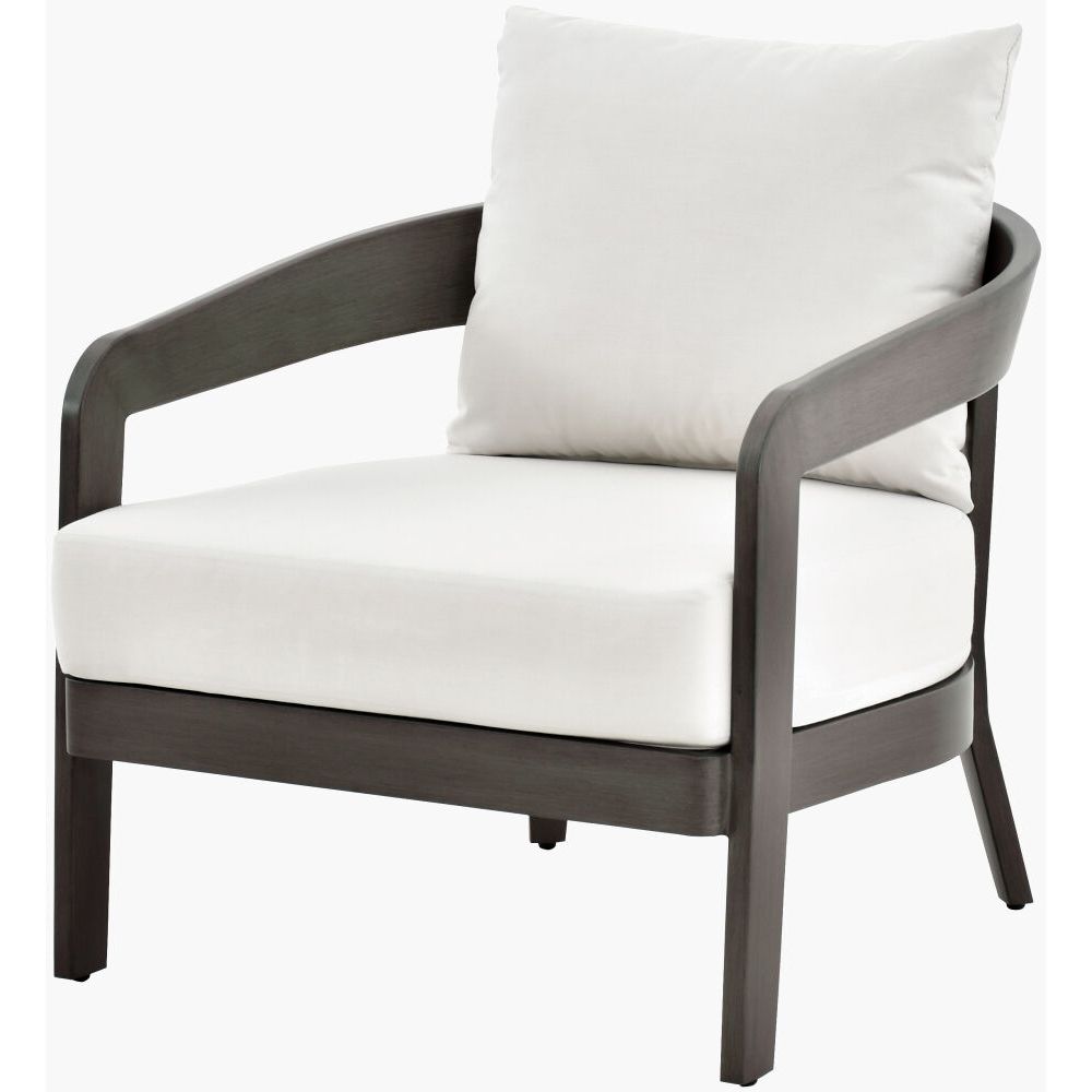 Lounge Chairs Daniella Accent Chair