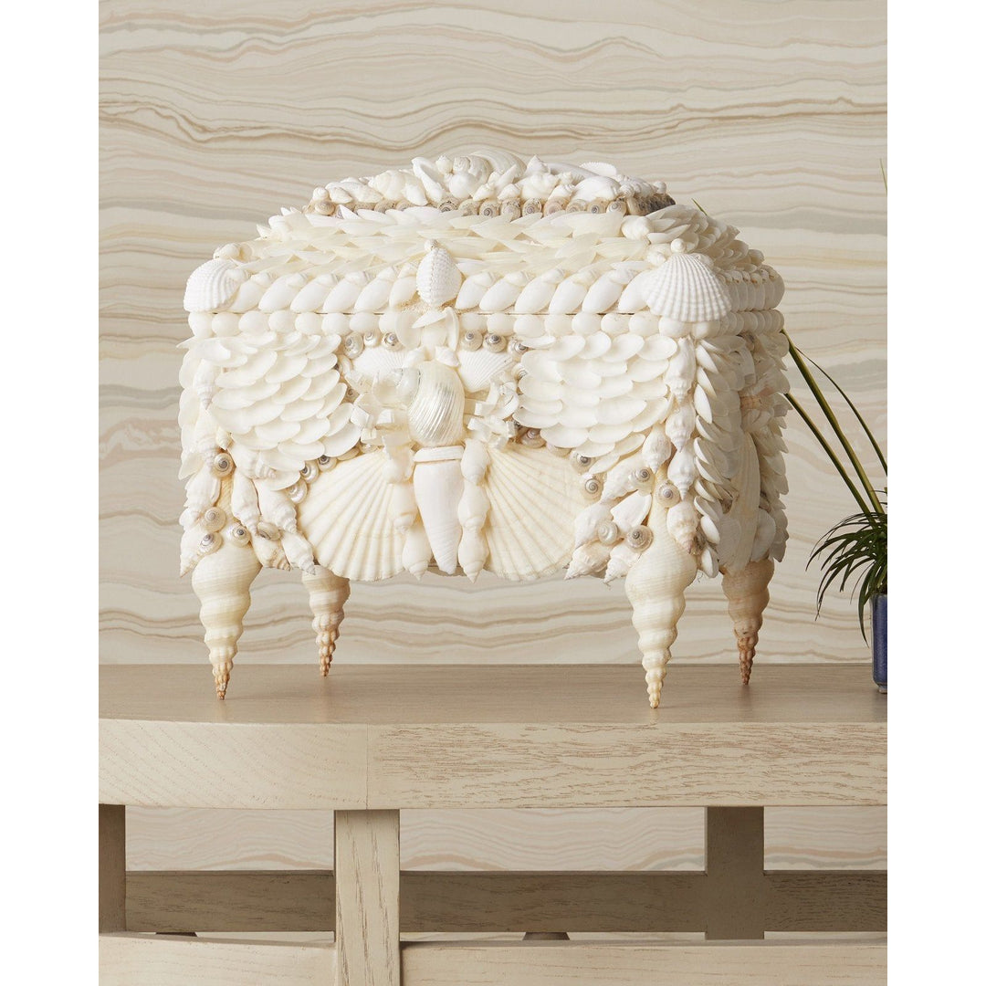 Boardwalk White Shell Jewelry Box