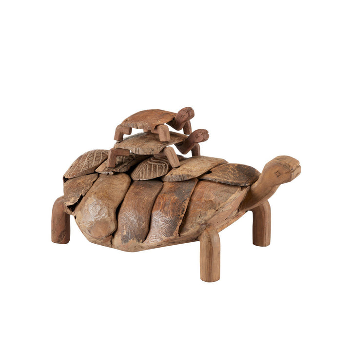 Turtle Set of 3