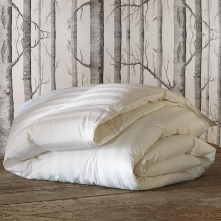 Bedding: Comforters Roma Luxe Down Comforter