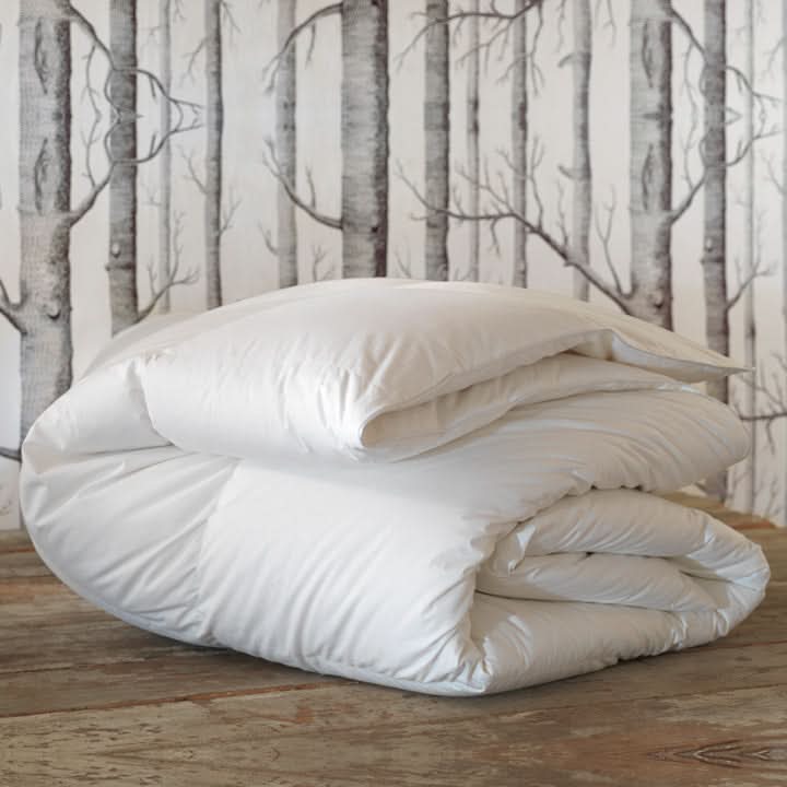 Bedding: Comforters Cassius Premier Down Comforter