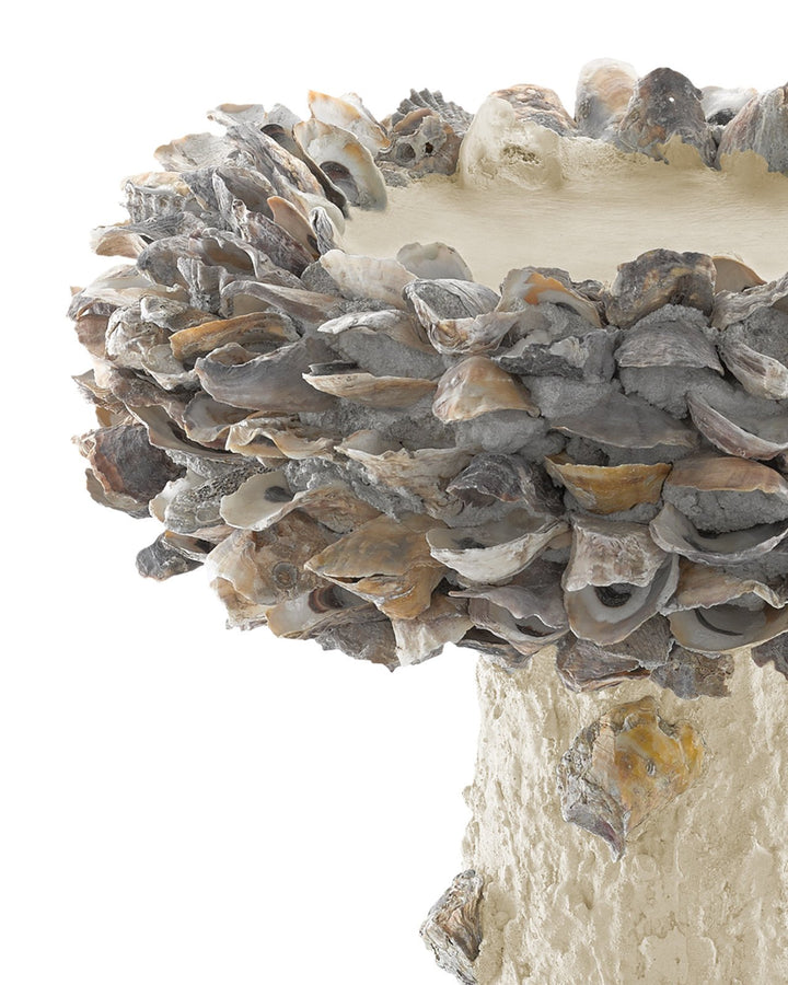 Oyster Shell Medium Bird Bath