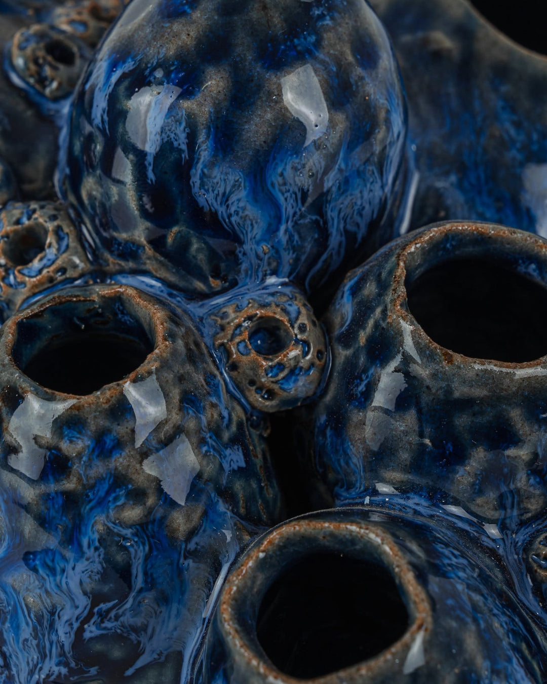 Decorative Objects Sulawasi Blue Shells