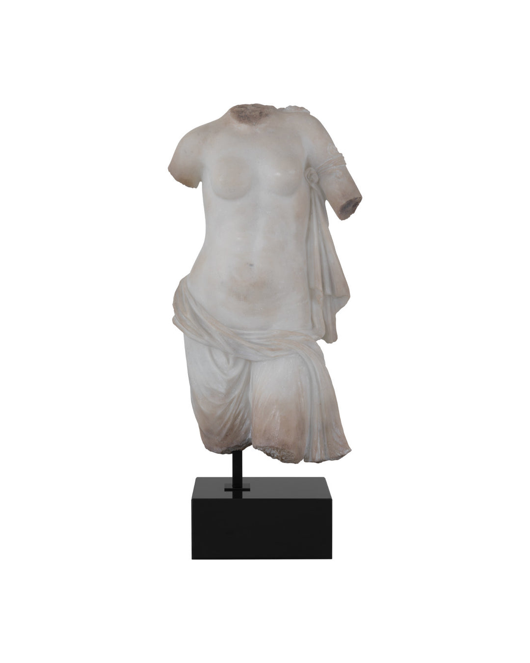 Cyprus Torso on Metal Stand