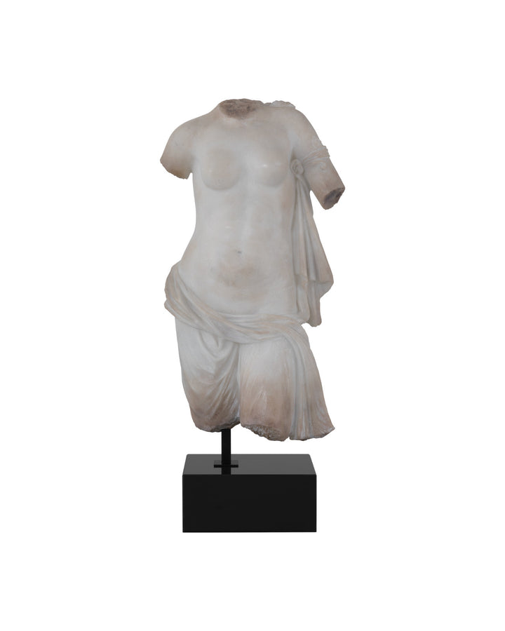 Cyprus Torso on Metal Stand