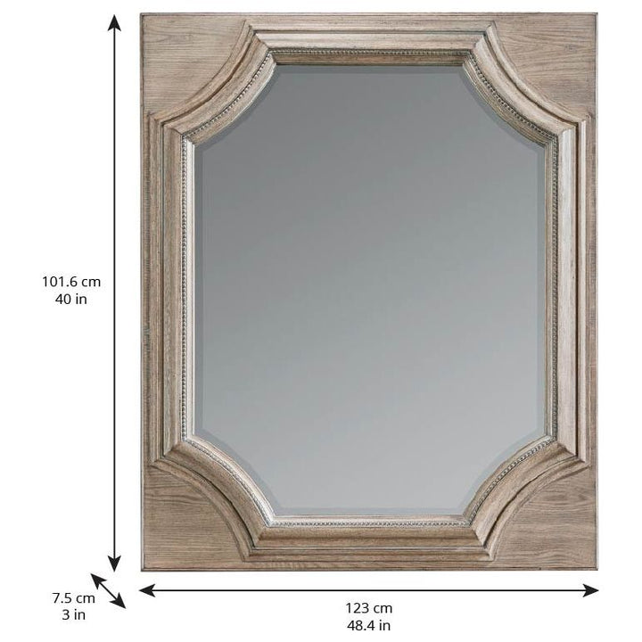 Arch Salvage Searles Mirror - Brown, Grey