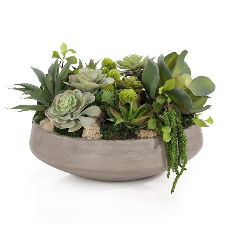 Faux Florals Zurich Succulents