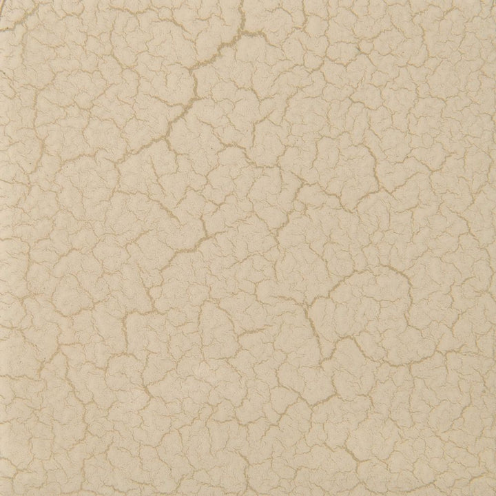 Zeus - Off White, Gold
