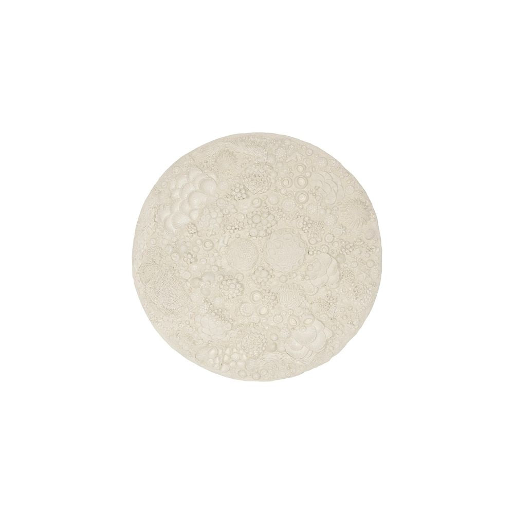 Wall Art Nupia Reef Wall Art, Round