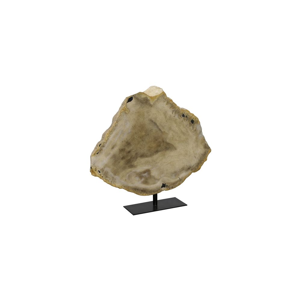 Decorative Objects Pexio Petrified Sculpture, on Metal Stand