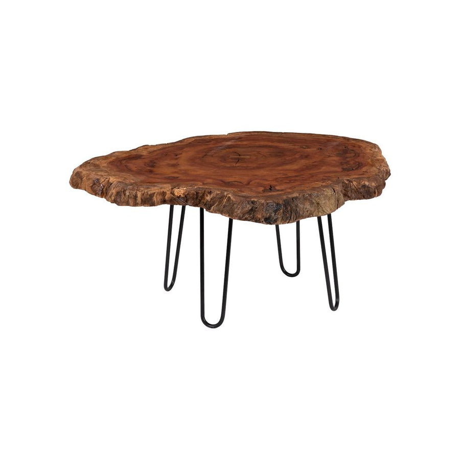 Coffee Tables Nanos Coffee Table, Black Metal Legs, Large