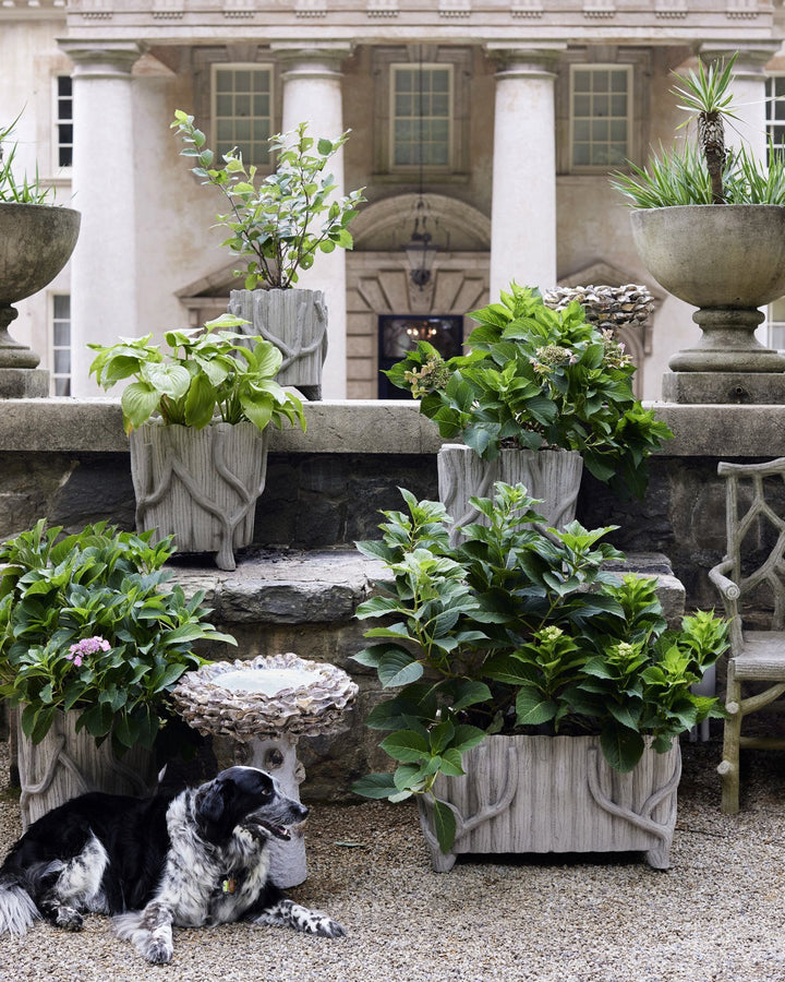 Oyster Shell Medium Bird Bath