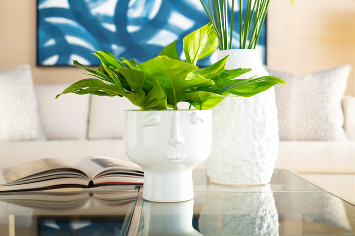 Nico Vase, Cool White