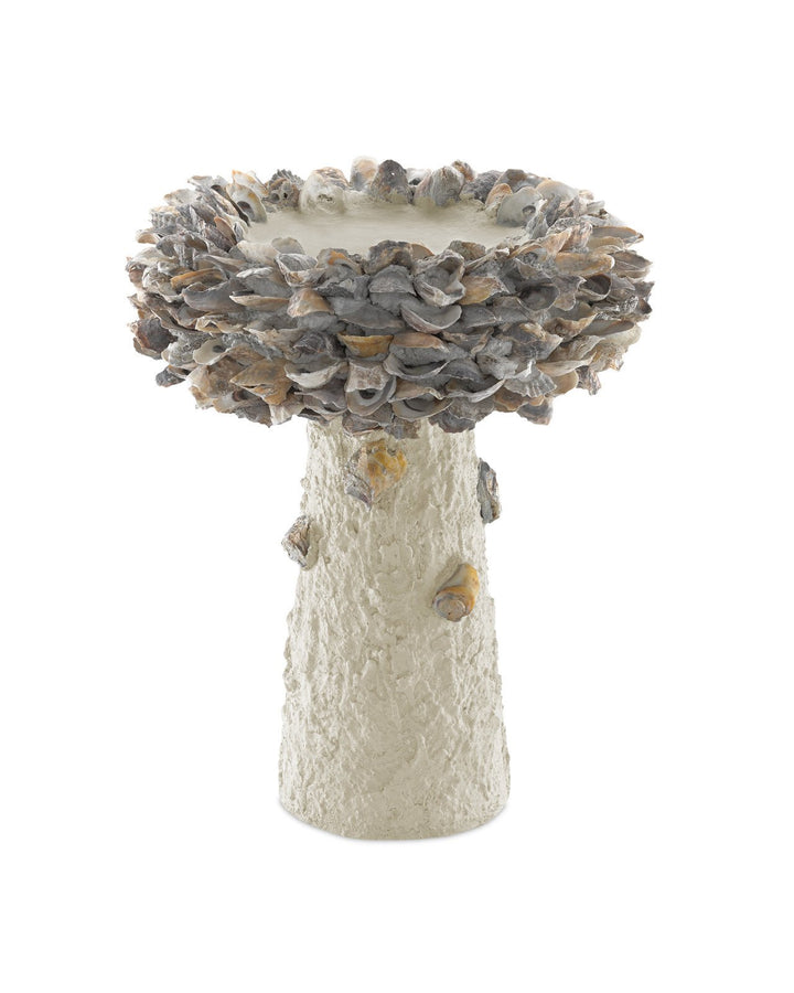 Oyster Shell Medium Bird Bath