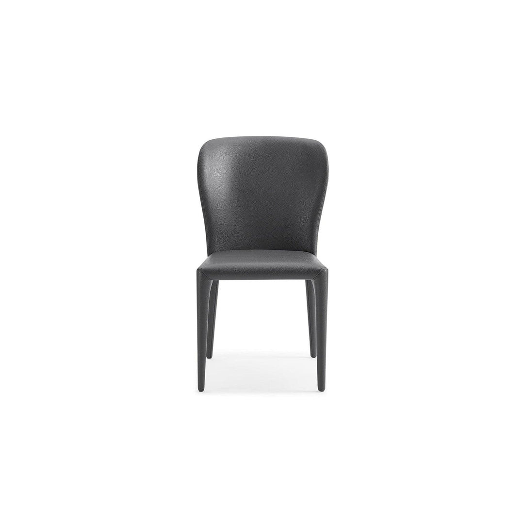 Hazel Dining Chair-Whiteline Modern Living-WHITELINE-DC1455-GRY-Dining ChairsGray-3-France and Son