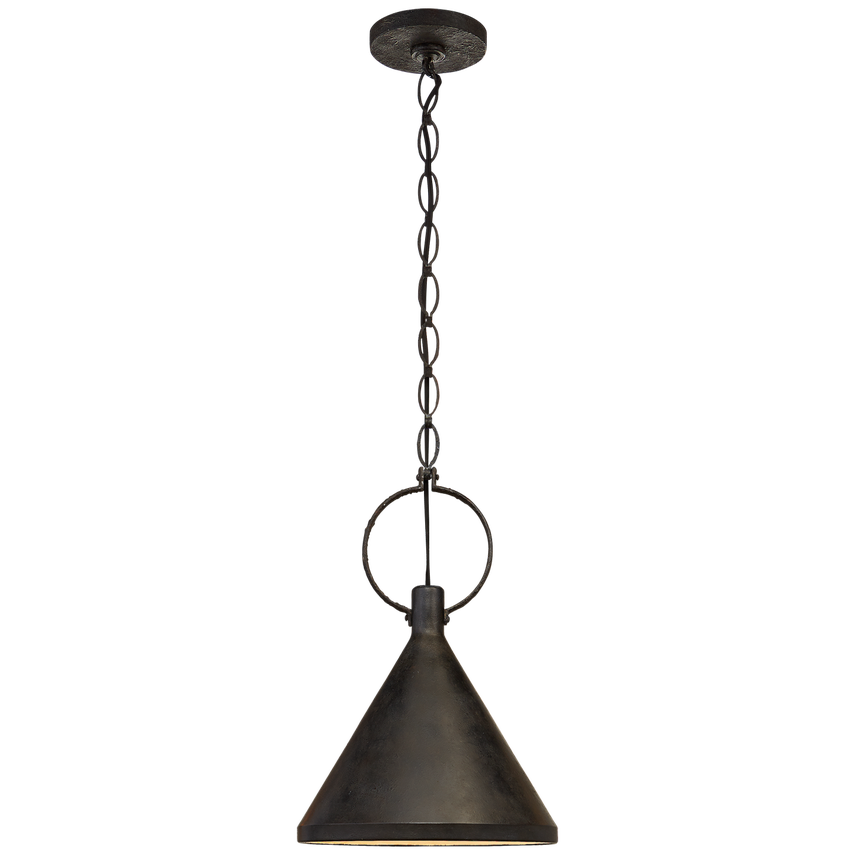 Liam Medium Pendant-Visual Comfort-VISUAL-SK 5362NR-AI-PendantsAged Iron-1-France and Son