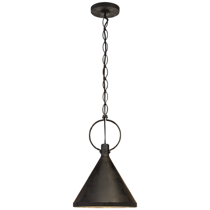 Liam Medium Pendant-Visual Comfort-VISUAL-SK 5362NR-AI-PendantsAged Iron-1-France and Son