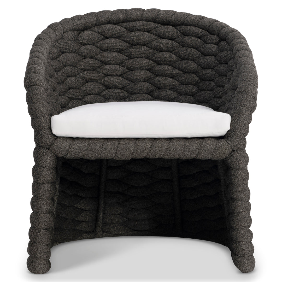 Salinas Arm Chair
