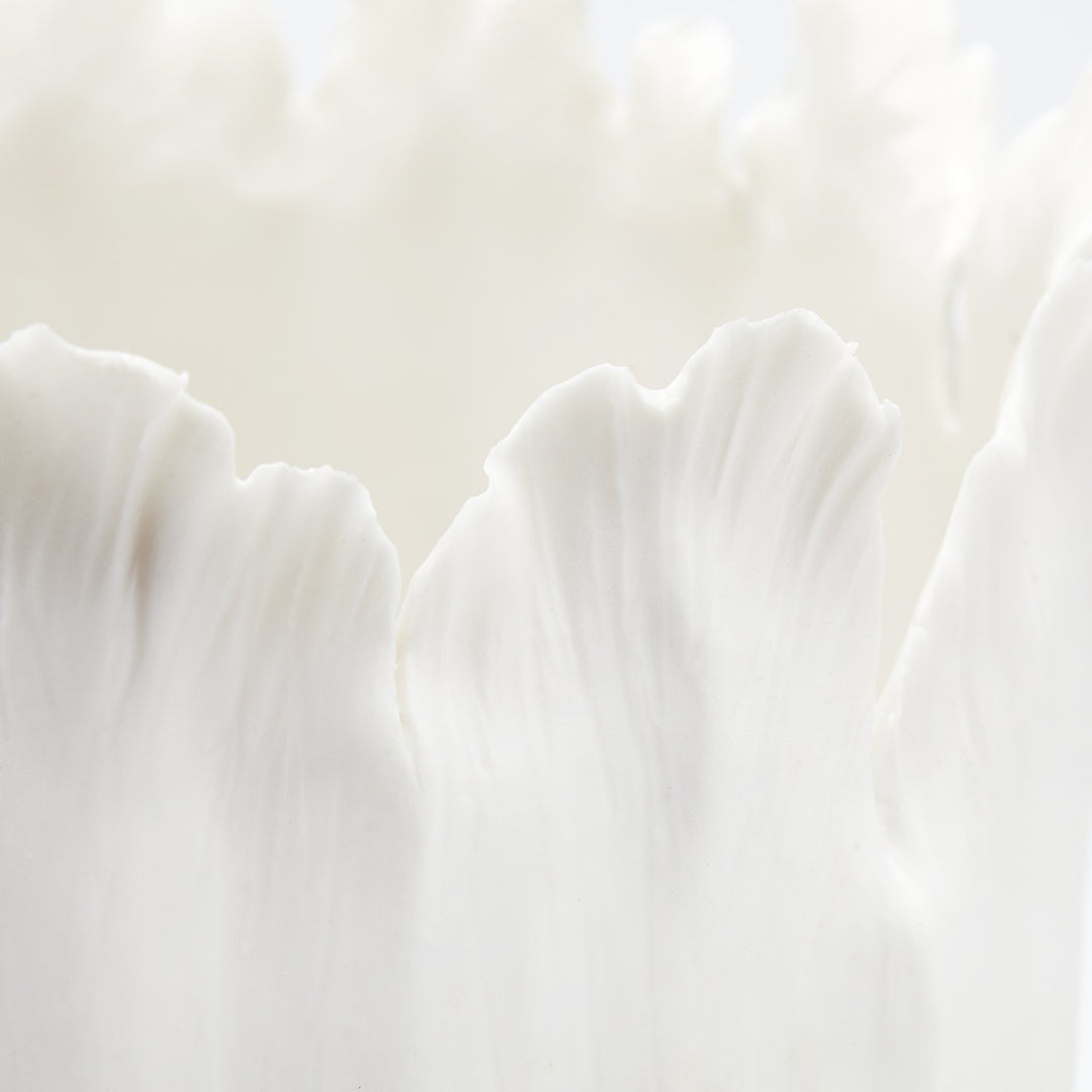 Tulip Vase, Blanc de Chine