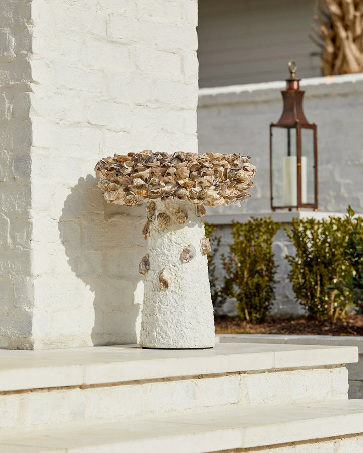 Oyster Shell Medium Bird Bath