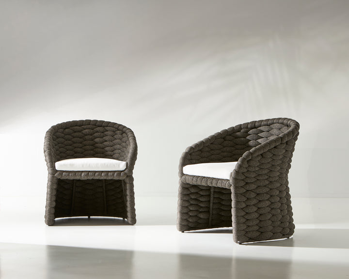 Salinas Arm Chair
