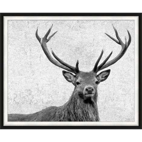 Silver Buck-Wendover-WEND-WAN2236-Wall Art-1-France and Son