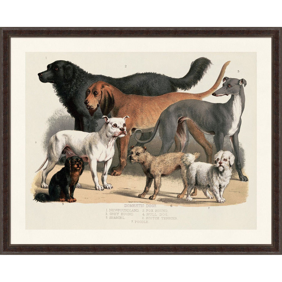Best Friends-Wendover-WEND-WAN2238-Wall Art-1-France and Son