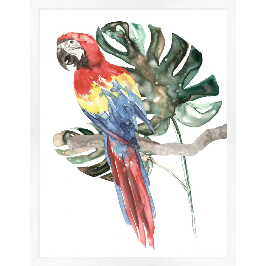 Perched Parrot 2-Wendover-WEND-WCL1268-Wall Art-1-France and Son