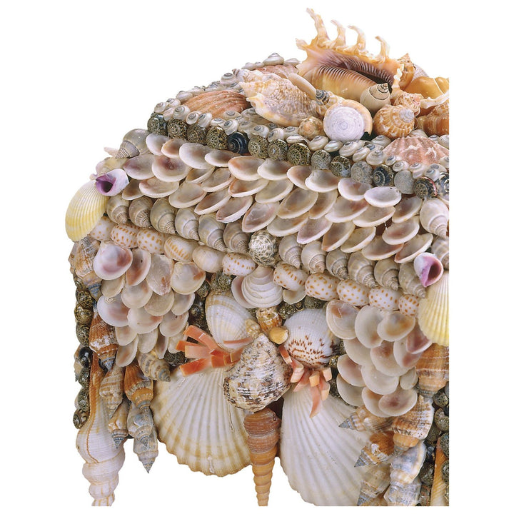 Boardwalk Natural Shell Jewelry Box