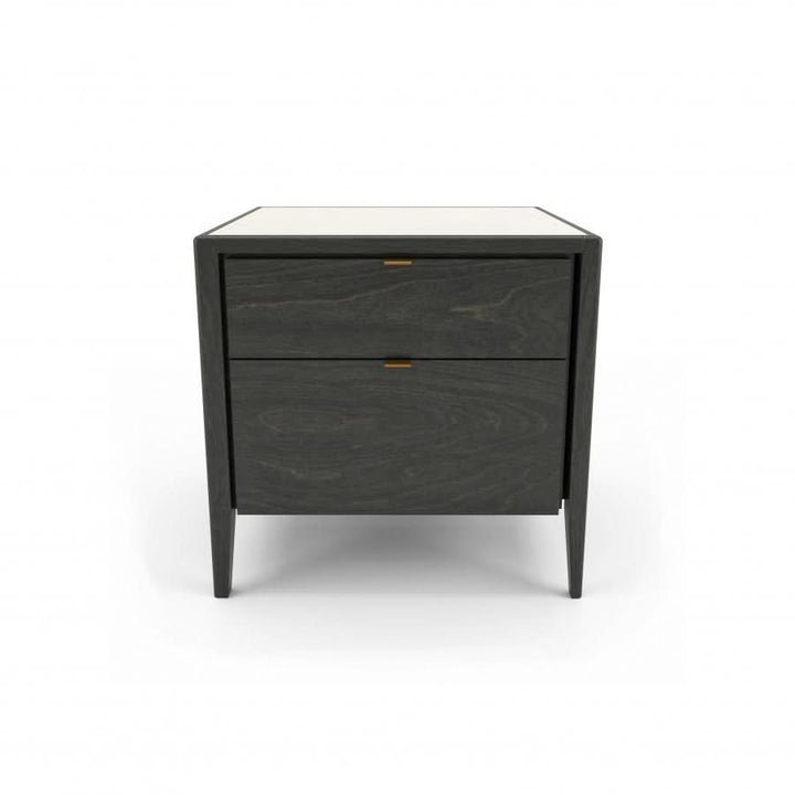 Winston 2 Drawer Nightstand with Black Handles