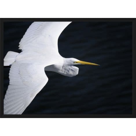 Gliding Egret-Wendover-WEND-WLA1345-Wall Art-1-France and Son