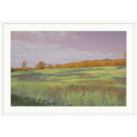 Fields of Color-Wendover-WEND-WLA1886-Wall Art1-1-France and Son