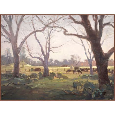 Madison Cows