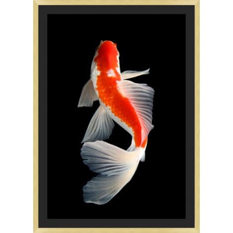 Orange Koi 1-Wendover-WEND-WMS0003-Wall Art-1-France and Son