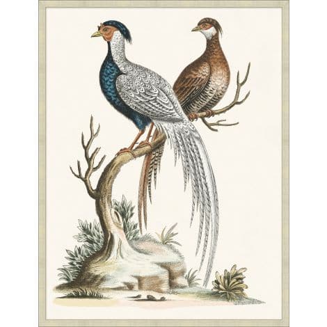 Grand Pheasant 2-Wendover-WEND-WNT1228-Wall Art-1-France and Son
