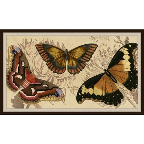 Butterfly Detail 1-Wendover-WEND-WNT1239-Wall Art-1-France and Son