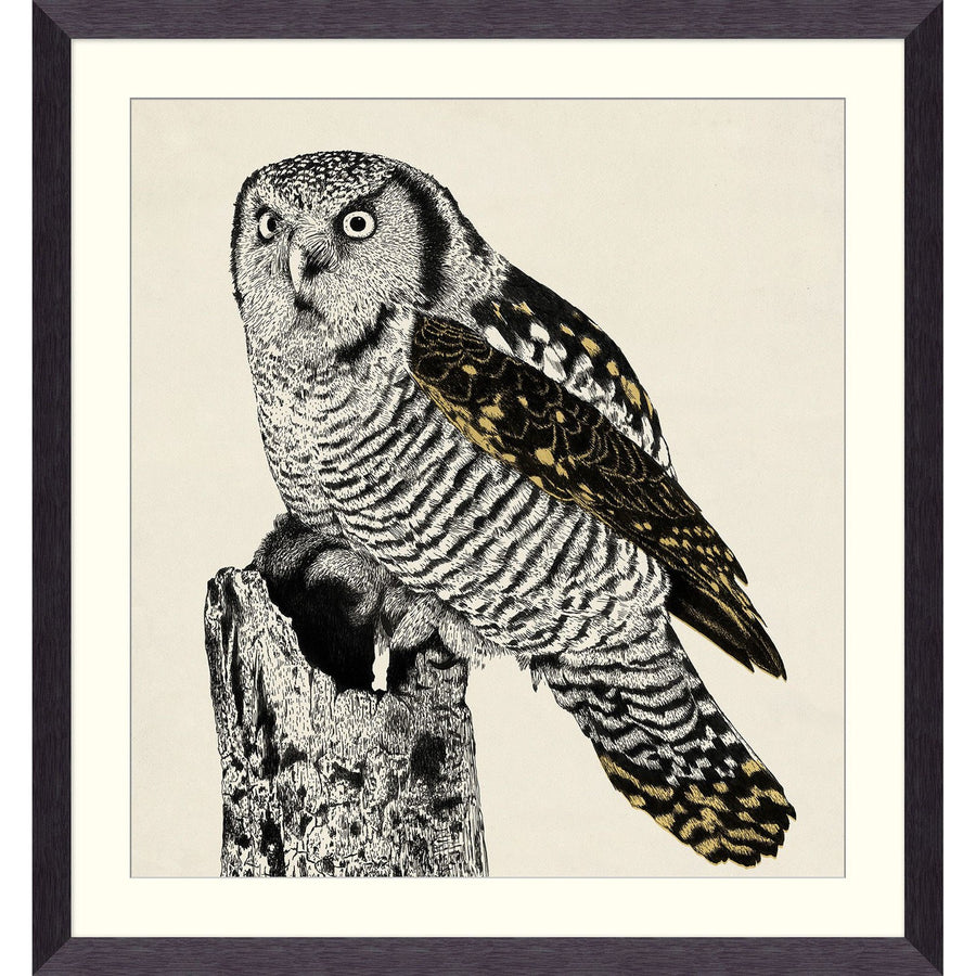Enchanted Owl 2-Wendover-WEND-WNT1808-Wall Art-1-France and Son