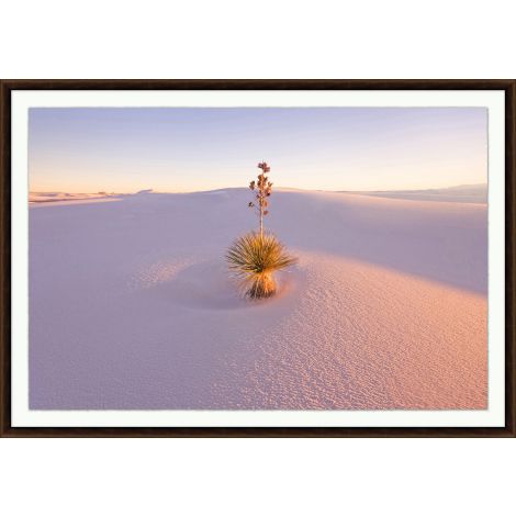 White Sands-Wendover-WEND-WPH1394-Wall Art-1-France and Son