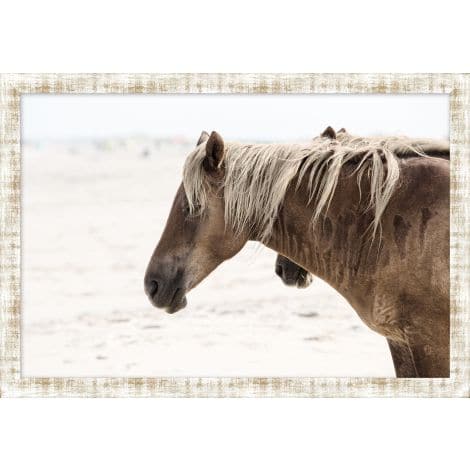 Beach Stallion-Wendover-WEND-WPH1694-Wall Art-1-France and Son