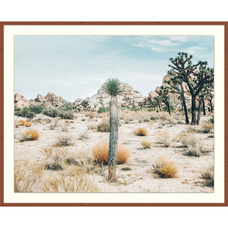View of Joshua Tree-Wendover-WEND-WPH1789-Wall Art-1-France and Son