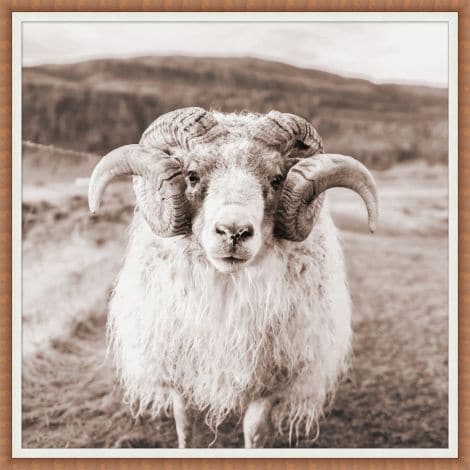 Mature Ram-Wendover-WEND-WPH1792-Wall Art-1-France and Son
