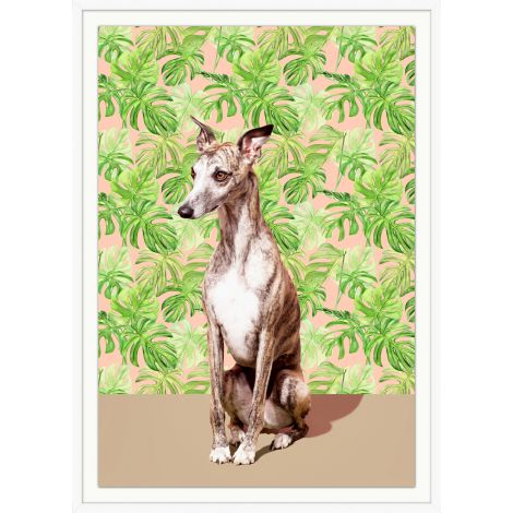 Whippet and Palms