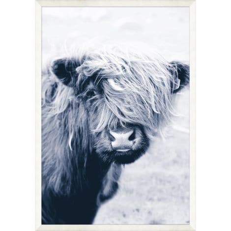 Indigo Highland Cow-Wendover-WEND-WPH1878-Wall Art-1-France and Son