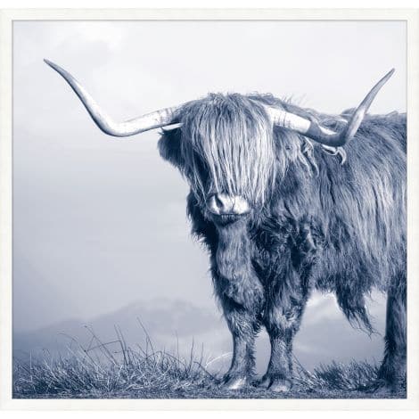 Indigo Highland Bull-Wendover-WEND-WPH1882-Wall Art-1-France and Son