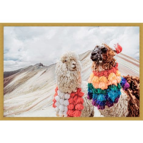 Adorned Llamas-Wendover-WEND-WPH1925-Wall Art-1-France and Son