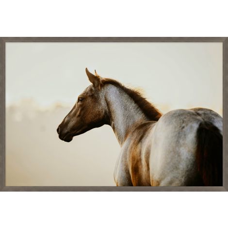 Equestrian Gaze Large-Wendover-WEND-WTUR0403-Wall Art-1-France and Son