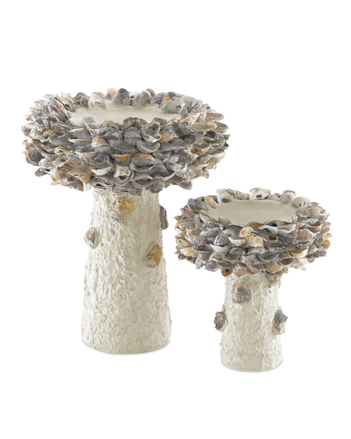 Oyster Shell Medium Bird Bath