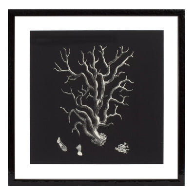 Print Black & Tan Corals set of 4-Eichholtz-EICHHOLTZ-106545-Wall Art-2-France and Son